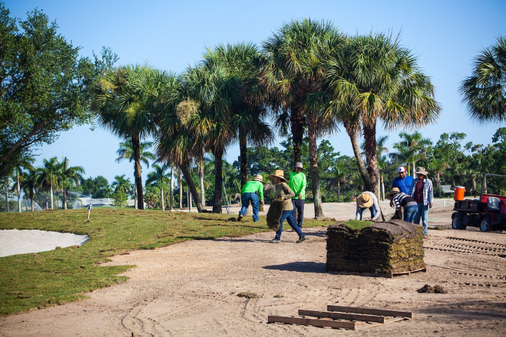 Sodding Around a Bunker